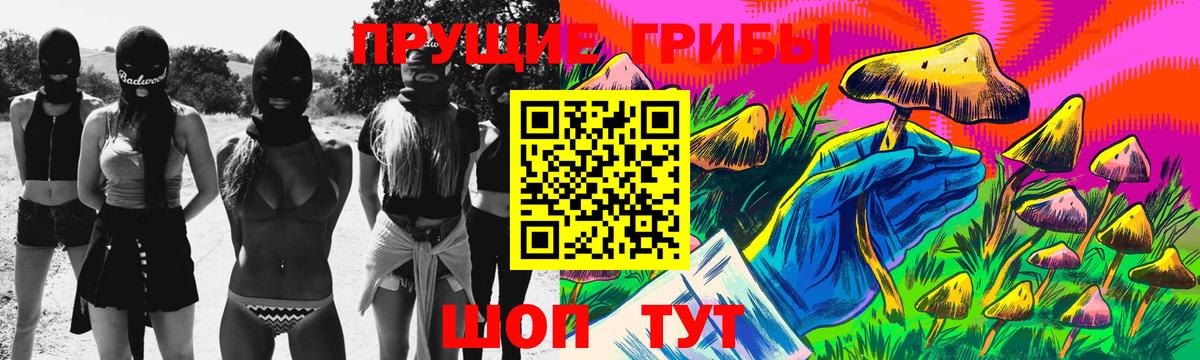 Псилоцибиновые грибы Psilocybine cubensis  Вход с VPN  Химки 